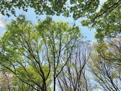 fmyoko250411_IMG_0507