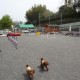 26.4.13ドッグラン-(17)