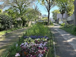 fmyoko260508_IMG_6222-2